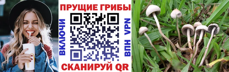 Псилоцибиновые грибы Cubensis  Среднеколымск 